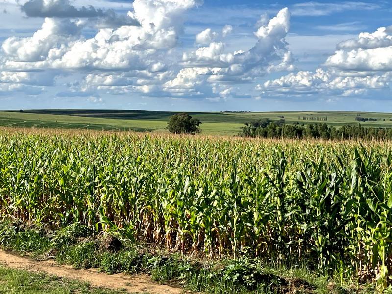 0 Bedroom Property for Sale in Bethlehem Rural Free State